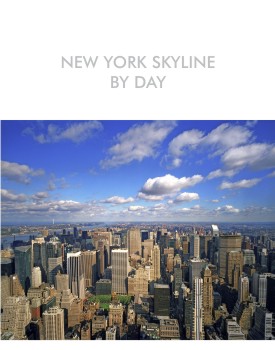 BRG-NY2