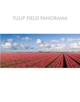 BRG-TULIP