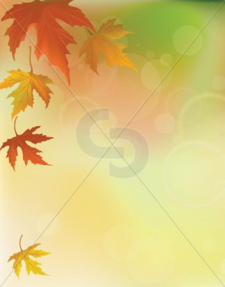 FALL-BKGD8