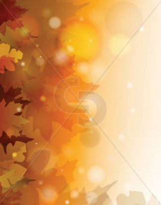 FALL-LVSBKGD