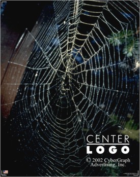 HLW-WEB