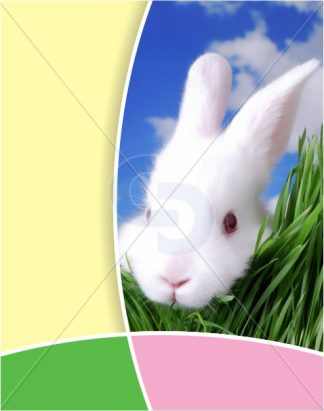 KCVI-EASTER