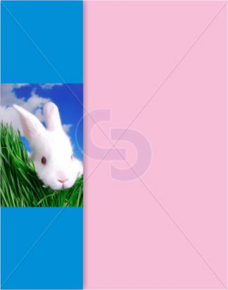 Photobar Four - Singles