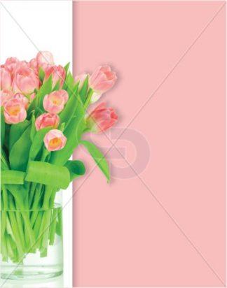 PBAR2-TULIPS