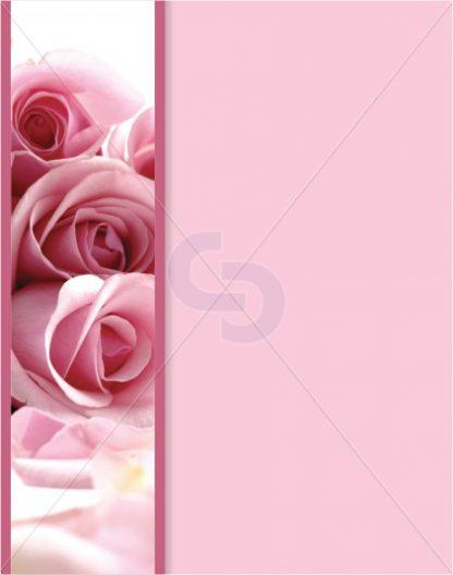 PBAR3-PKROSE