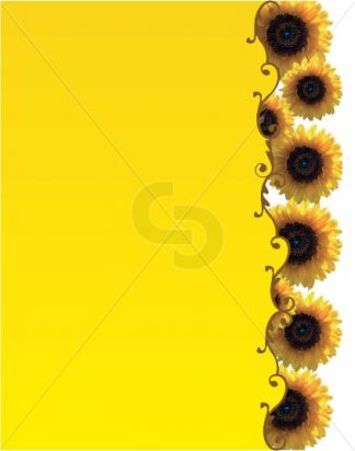 SUM-SNFLF2