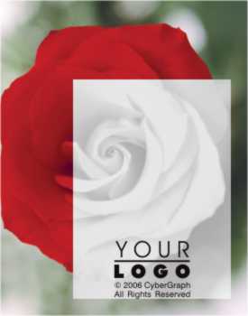KGPO-ROSE